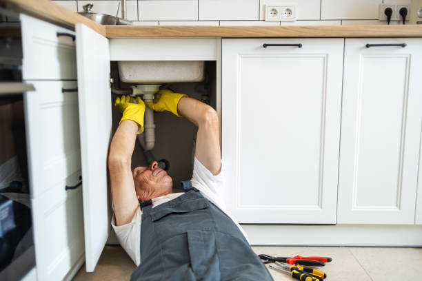 Best Water Softener Installation  in Clayton, MO