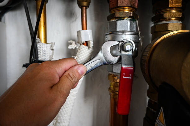 Best Shower Repair Services  in Clayton, MO